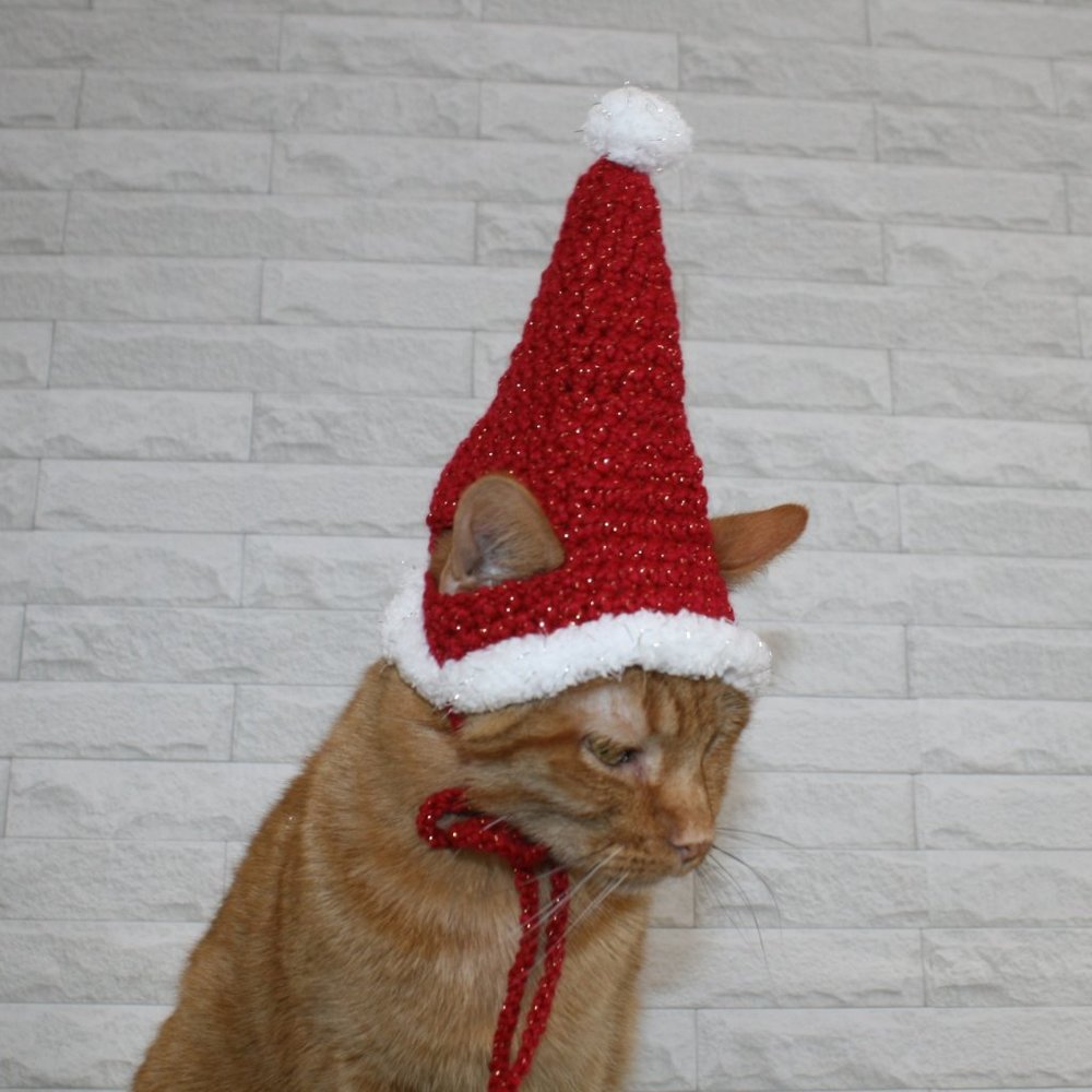 HAND CRAFTED Crochet Santa Cat Pet Hat Costume Photo Prop Christmas Holiday - Picture 5 of 14